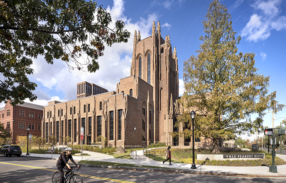 Centerbrook wins 2026 AIA Architecture Award for Yale Peabody Museum renovation and expansion